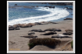Impressionen 2 Monterey - Pismo Beach (17).jpg